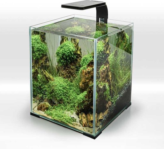 Aquael Leddy Smart Sunny Day & Night Wit- Siècle des Lumières Led pour  aquarium - Pour