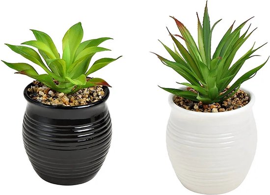 Kunstplant – Kunstbloem – Kunstplantjes in keramieken bloempotje wit en zwart, set van 2