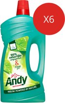 Andy Dennen Allesreiniger (Voordeelverpakking) 6 x 1 l