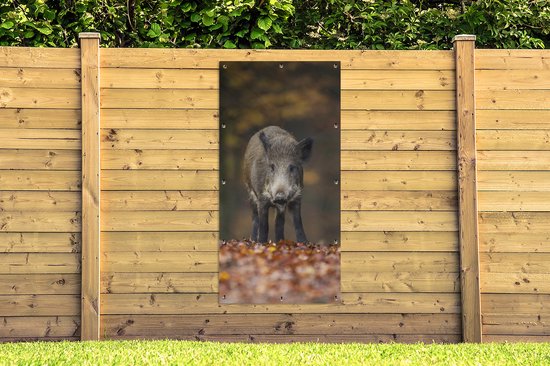 Affiche de clôture Animal sauvage - Forêt - Automne - 100x200 cm - Toile de jardin