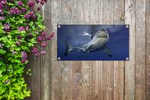 Tuinposter Grote witte haai - 80x40 cm - Wanddecoratie Buiten - Tuinposter - Tuindoek - Schuttingposter - Tuinschilderij