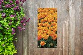 Tuinposter Oranje tulpenveld - 30x60 cm - Tuindoek - Buitenposter