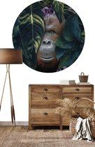 Behangcirkel Jungle orangutan | ⌀ 100 cm | Wandecoratie | Wandcirkel