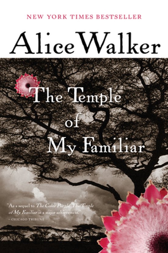 The Temple of My Familiar - cover