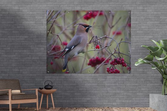 Muurdecoratie buiten Pestvogel in een bessenstruik - 160x120 cm - Tuindoek - Buitenposter