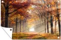 PDP.ProductImage.Thumb.Image.srtText 17