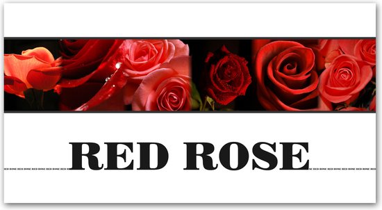 Dibond - Fleurs / Bloem - Collage / Rose / Roses / Rose Rouge en blanc / noir / rouge - 40 x 80 cm.