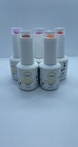 ProlineNails Gellak/Gelpolish 5x15ml kleurenset B