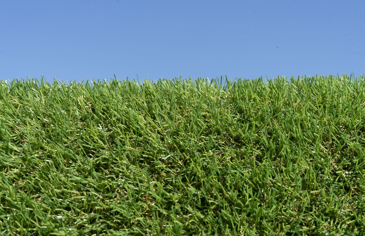 Kunstgras 4 x 16 meter - 20mm ✅ Nederlandse Productie - Uitgeroepen zachtste Grastapijt ✅ Waterdoorlatend | Tuin | Kind | Dier