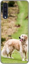 Convient pour la coque Samsung Galaxy A50 - Belle image d'un Golden Retriever - Coque de téléphone en Siliconen