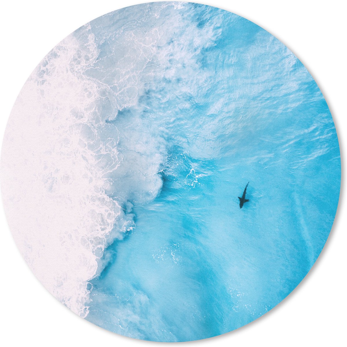 Muismat rond 50x50 cm - Mousepad Dieren - Zee - Schuim - Ronde muismatten