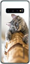 Geschikt voor Samsung Galaxy S10 hoesje - Kat - Krabpaal - Grijs - Siliconen Telefoonhoesje