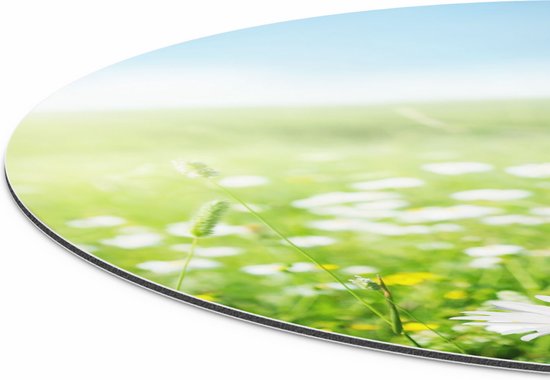 Artaza Dibond Cercle Mural Champ De Fleurs Champ De Marguerites - Fleurs - Ø 90 cm - Groot - Cercle Mural - Tableau Rond - Pour Intérieur et Extérieur