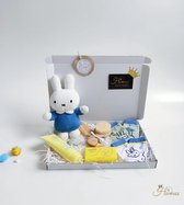 Kraamcadeau - Babygeschenkset - Nijntje knuffel - luiertaart - geschenkdoos - Baby sokken - Baby verzorging - Rammelaar - Zwitsal - Geboortecadeau - Kam en borstel - Kado - Kraampa