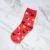 Hoge Kattensokken Rood (maat 35-42)  - Winter sokken - Herfstsokken - Katoenen sokken - Warme sokken