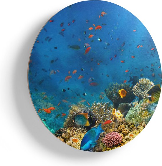 Artaza Houten Muurcirkel - Onderwater Vissen Met Koraal In De Zee - Ø 45 cm - Klein - Multiplex Wandcirkel - Rond Schilderij