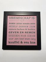 Tekstbord / Wandbord / Vriendschap is / Verjaardag / Cadeau / Woondecoratie / Roze / Fotolijst