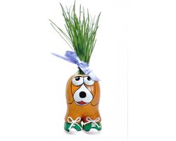 Buzzy Munakuppi - Hond