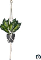 Luxe Plantenhanger | 100 cm | Beige | 100% katoen | Macramé | Macramé Koord | Plantenpot Ophangen | Bloempot Ophangen | Plantenhanger | Binnen & Buiten | Planten | Diverse Varianten | Kleurcombinatie | TheOldOmen |
