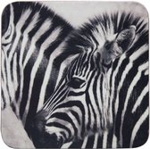 Onderzetters - zebra - Mars & More