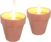 Citronellakaarsen in Terracotta Potje 6.5 cm 3 Stuks