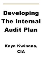 Developing The Internal Audit Plan