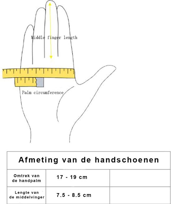 Handschoenen van suède, roze, dames, herfst en winter, dubbele laag Handschoenen van suède, roze, dames, herfst en winter, dubbele laag