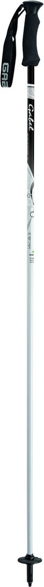 Gabel Carbon Composite Dames Skistokken Wit/Zwart 130 cm