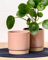 Ceramics Limburg - Bloempot - Handgemaakt - Dutch Design - Pot - Roze - Pink - Eno