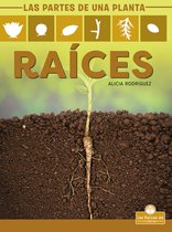 Raíces (Roots)