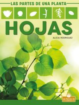 Hojas (Leaves)