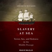 Slavery at Sea Lib/E: Terror, Sex, and Sickness in the Middle Passage