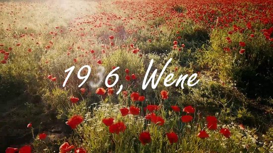 Toen de wereld nog van ons was, Liz Kessler | 9789026625008 | Boeken | bol