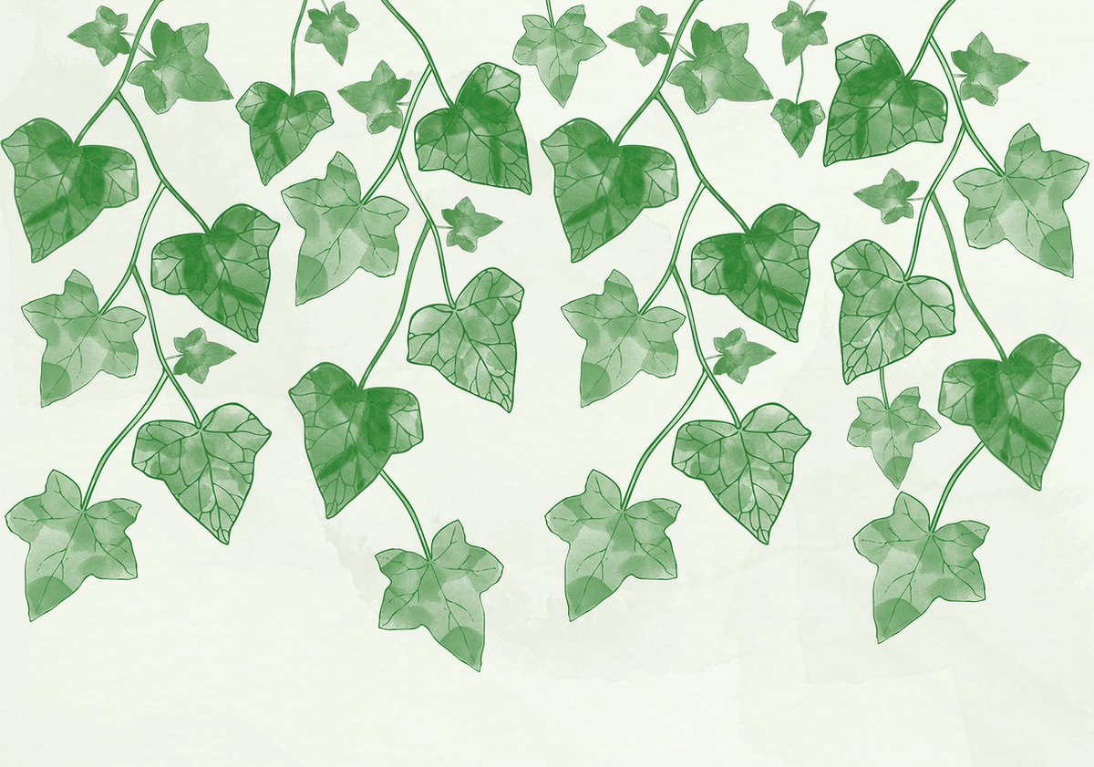 Fotobehang Planten Hedera XXL – posterbehang – 368 x 254 cm – Groen