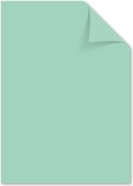 Kangaro papier - A4 - 160 gram FSC - pak 50 vel - pastel groen - K0039P004