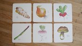 Postkaarten - Tekening - Groenten - 135x135 - Ansichtkaarten - Wenskaarten - Kaarten met envelop - Set van 6 - Kunst