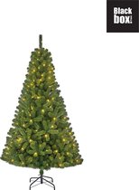 Black Box Trees - Charlton kerstboom led groen 140L TIPS 525 - h185xd115cm - Kerstbomen  (Zwitserse stekker )