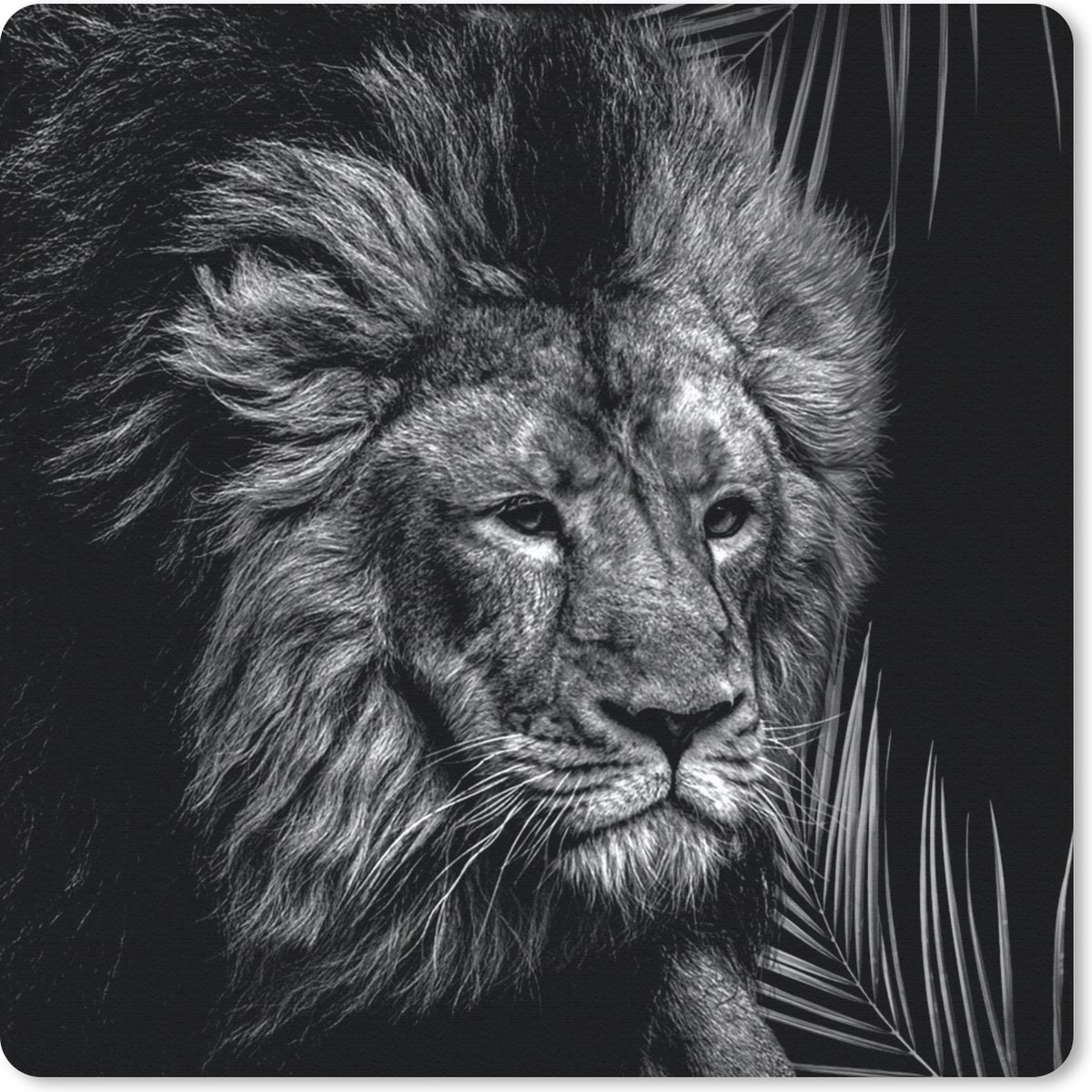 Muismat 30x30 cm - Mousepad Leeuw - Varen - Zwart - Wit - Muismatten