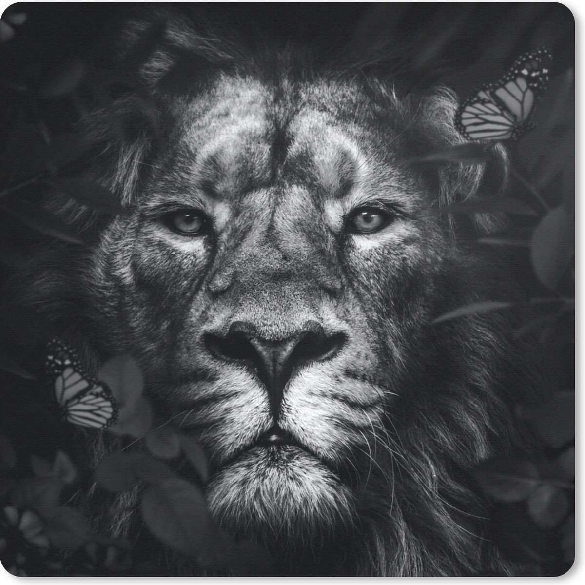 Muismat 30x30 cm - Mousepad Vlinder - Leeuw - Planten - Zwart - Wit - Muismatten