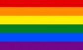 regenboog vlag 100x150 cm