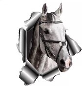 GoedeDoelen.Shop | Auto Sticker Paard | Paarden Sticker | Laptopsticker | Love Horses | Paardenfan | Weerbestendig