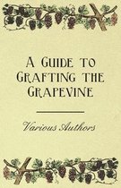 A Guide to Grafting the Grapevine