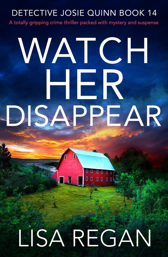 Detective Josie Quinn 14 - Watch Her Disappear (ebook), Lisa Regan