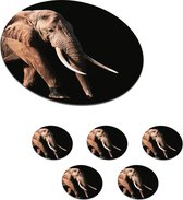 Sous-verres pour verres - Ronds - Éléphant - Dents - Animaux - 10x10 cm - Sous-verres en verre - 6 pièces