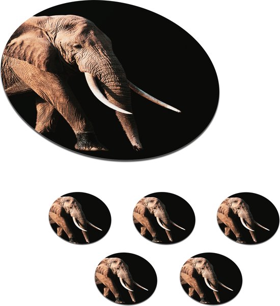 Sous-verres pour verres - Ronds - Éléphant - Dents - Animaux - 10x10 cm - Sous-verres en verre - 6 pièces