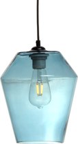 Hangende lamp planta blauw