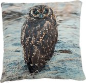 Cushion owl polyester brown/grey