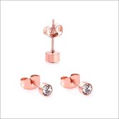 Aramat jewels ® - Oorbellen 4mm rosékleurig zweerknopjes rond chirurgisch staal transparant
