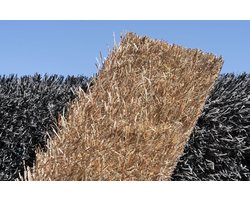 Beige Kunstgras 2 x 9 meter - 25mm ✅ Nederlandse Productie - Uitgeroepen zachtste Grastapijt ✅ Waterdoorlatend | Tuin | Kind | Dier