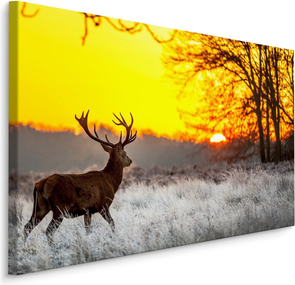 karo-art Schilderij - Hert bij Zonsondergang, Premium Print, 5 maten Multikleur